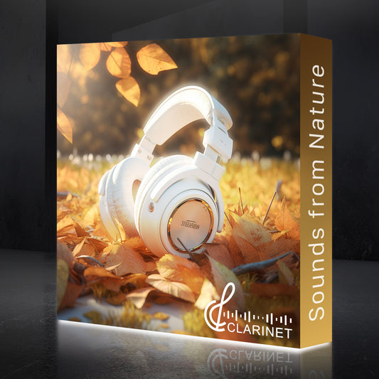 8ft / 10ft SEG Backlit Popup Display